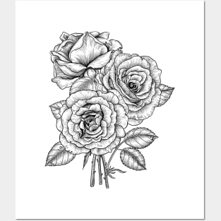 Bouquet of roses in black and white Posters and Art